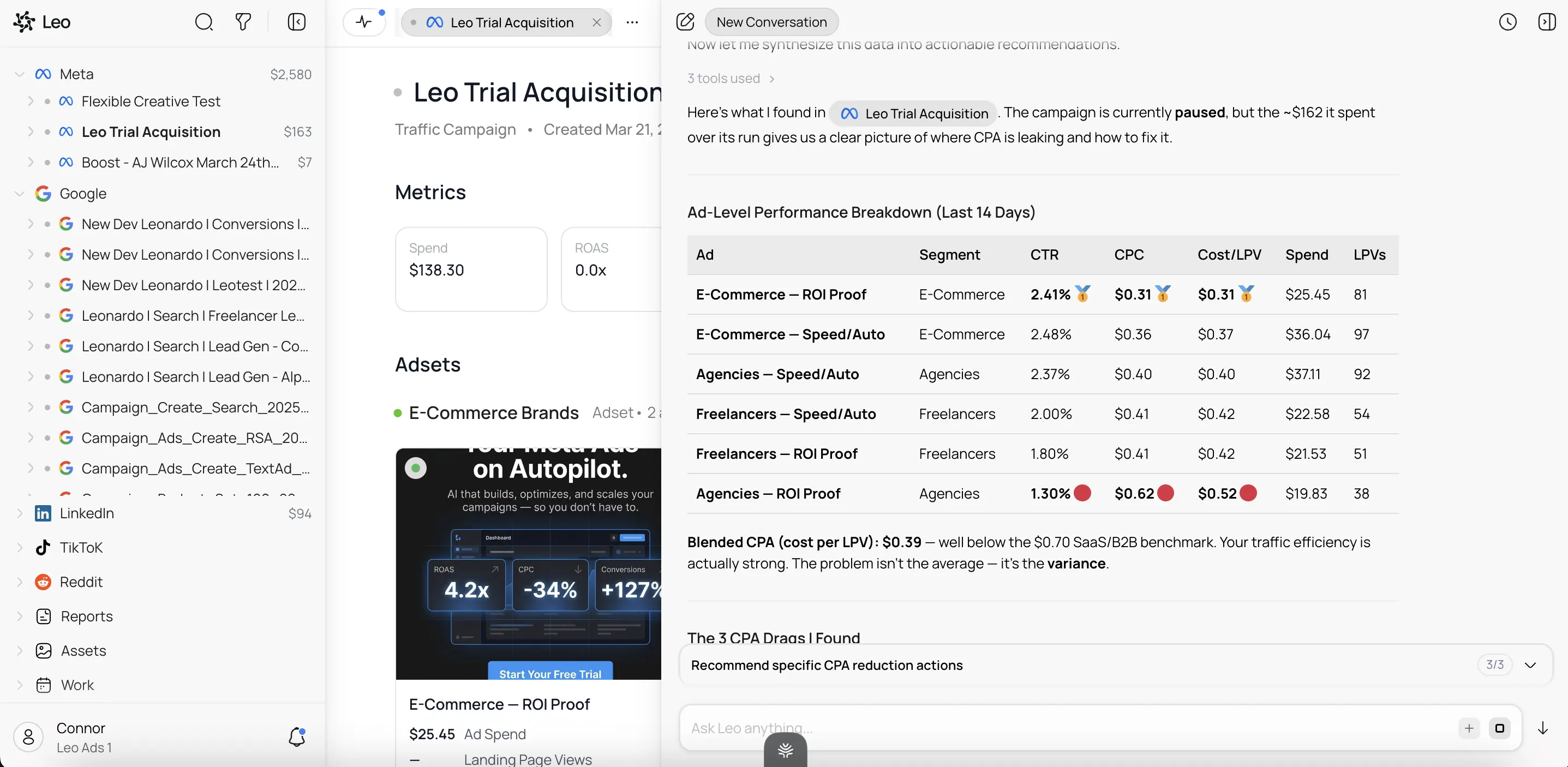 Leo analyzing campaign performance